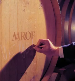 Najboljša in vrhunska vina MAROF, Pomurje