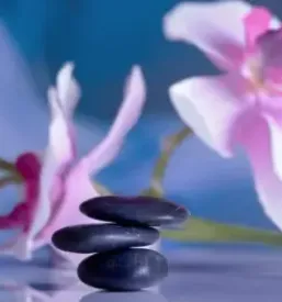 Wellness zgornja velka