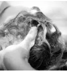 Dobra frizerka zalec