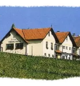 Okusna domaca hrana podravska