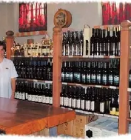 Okusna domaca hrana podravska