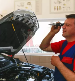 Popravilo motorjev in menjalnikov goriška