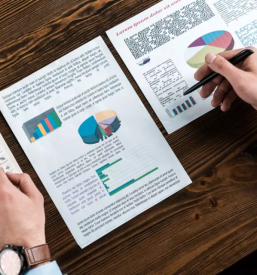 Dober računovodja Radomlje