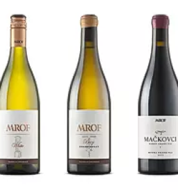 Kakovostna bela vina Prekmurje