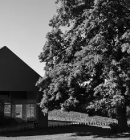 Vrhunska rdeča in bela vina Prekmurje