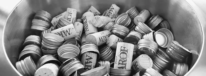 Vrhunska bela vina Prekmurje