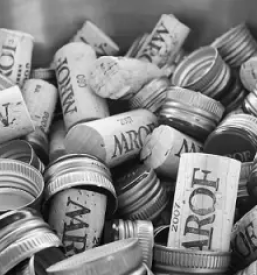 Vrhunska modra frankinja iz Prekmurja