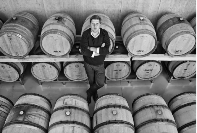 Vrhunska modra frankinja