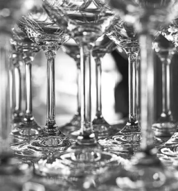 Pridelava vrhunskih rdečih vin Slovenija