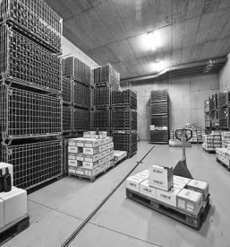 Vrhunska rdeča vina Slovenija