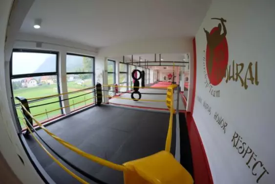 Borilne veščine Jesenice