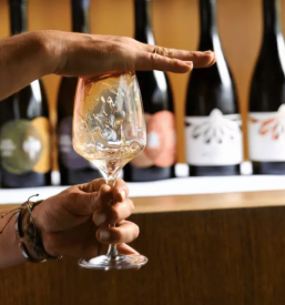 Izleti in degustacije vin stajerska