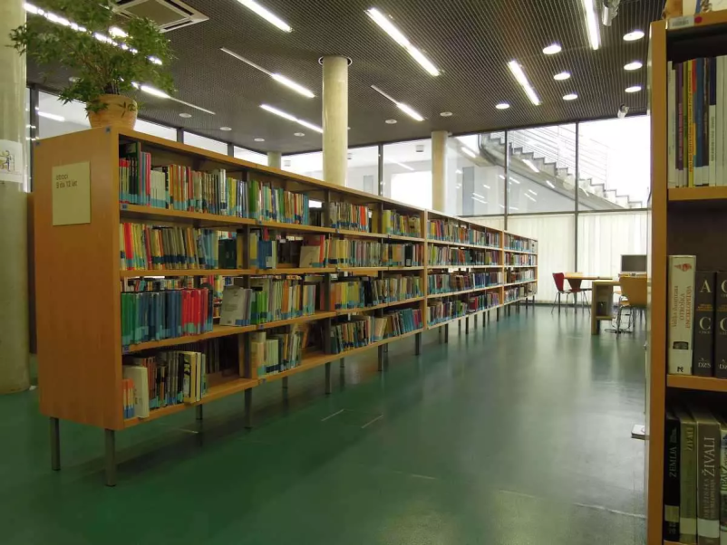 Izposoja knjig Gorica