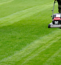 Kvalitetno urejanje okolice gorenjska osrednja slovenija
