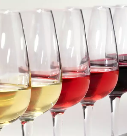 Prodaja kvalitetnih naravnih vin slovenija