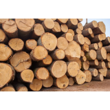 Gozdarske storitve, Luka Mežnar s.p.