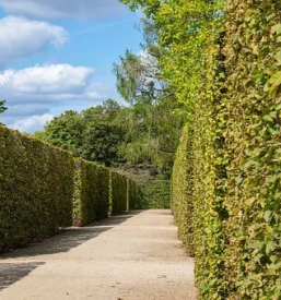 Urejanje okolice in kosnja trave ljubljana okolica