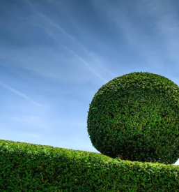 Vrtnarstvo skofja loka