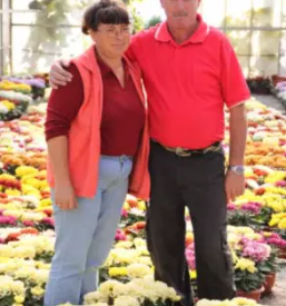 Vzgoja in prodaja okrasnih rastlinsentilj lenart okolica