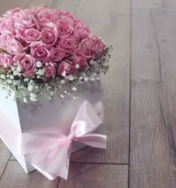 Dostava sopkov in aranziranje daril ptuj