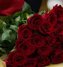 Dostava sopkov in aranziranje daril ptuj