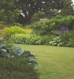 Vrtnarjenje Rogaška Slatina 