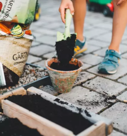 Vrtnarstva Rogaška Slatina 