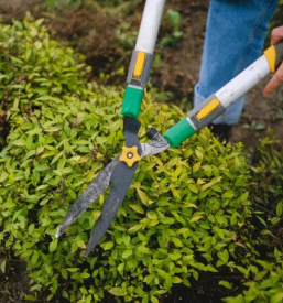 Vrt Rogaška Slatina 