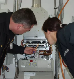 Dimnikarske storitve radenci gornja radgona haloze