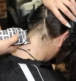 Frizer za zenske logatec