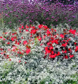 Inovativne tehnologije slovenija