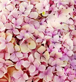 Inovativne tehnologije slovenija