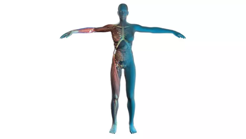 izvajanje kinezioterapije