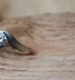 Poročni prstani Dolenjska