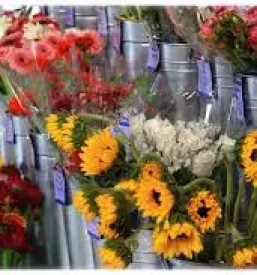 Dobra cvetlicarna maribor