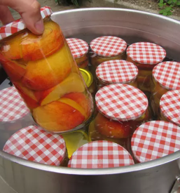 Kvalitetni kotli za zganje slovenija