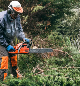 Ugodno popravilo in vzdrževanje vrtnih naprav Gorenjska