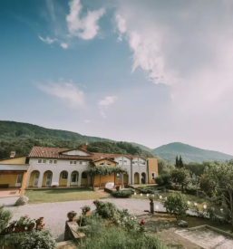 Poročno slavje na Krasu