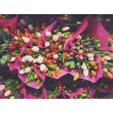 CVETLIČNI KOTIČEK d.o.o.