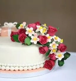 Torte po narocilu postojna