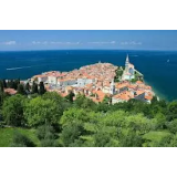 Cvijeta Antić - sobodajalka