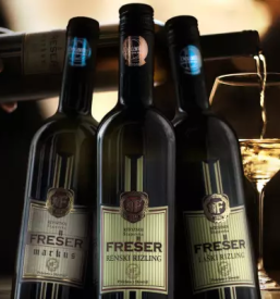 Vinogadniska kmetija stajerska