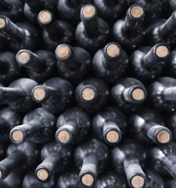 Vinogadniska kmetija stajerska