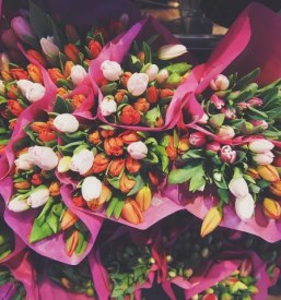 Zalni aranzmaji maribor