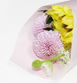 Zalni aranzmaji maribor