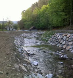 Zascita in sanacija brezin slovenija