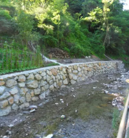 Zascita in sanacija brezin slovenija