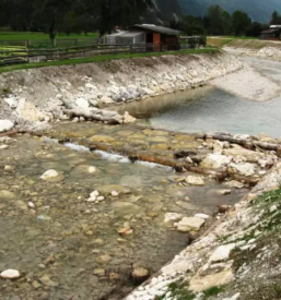 Zascita in sanacija brezin slovenija