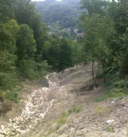 Zascita in sanacija brezin slovenija