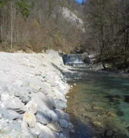 Zascita in sanacija brezin slovenija